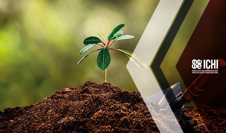 Claves para que el jardín incremente el valor de tu casa